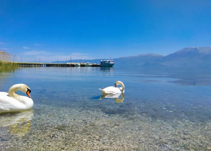 Pogradec Luxe Apartment